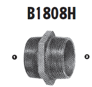 B1808H-20-20 Adaptall Malleable Iron -20 Male BSPT x -20 Male BSPT Adapter 