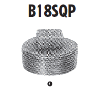 B18SQP-04 Adaptall Malleable Iron -04 BSPT Square Head Plug