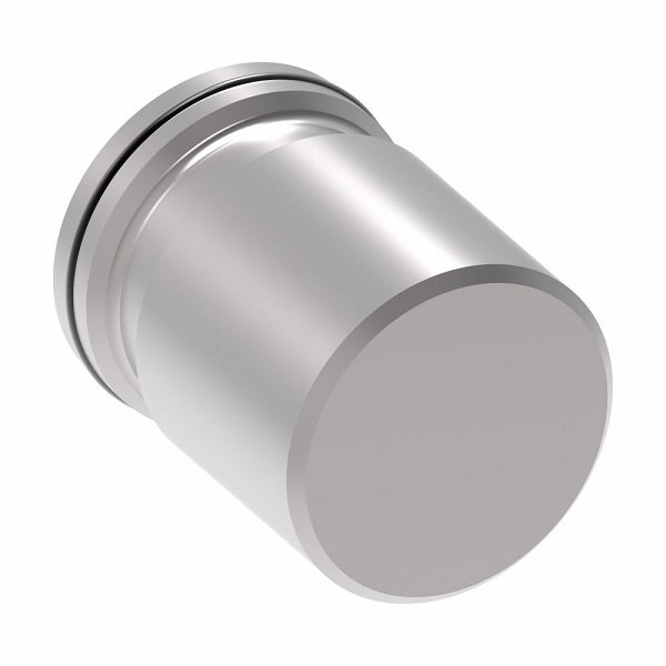 FF90202-16S Aeroquip by Danfoss | Female STC (Snap to Connect) Cap (FF) | -16 Female STC | Steel