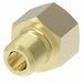 202X5 by Danfoss | Inverted Flare Male Connector | 1/8" Male NPTF x 5/16" Female SAE Inverted Flare | Brass