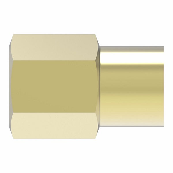 252X4 by Danfoss | Inverted Flare Female Connector | 1/8" Female NPTF x 1/4" Female SAE Inverted Flare | Brass