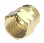 33808-D Weatherhead by Danfoss | Nut for Spring Guard for Field Attachable Fitting | 338 'B' Series DOT | -08 Hose ID | Brass