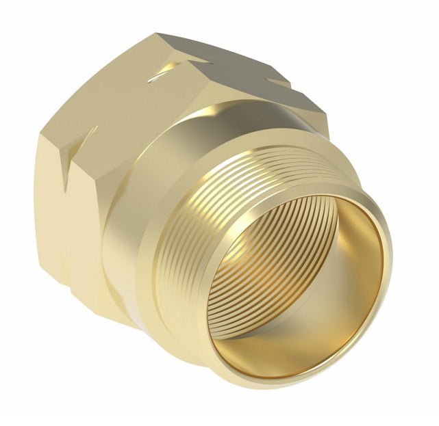 33806-D Weatherhead by Danfoss | Nut for Spring Guard for Field Attachable Fitting | 338 'B' Series DOT | -06 Hose ID | Brass