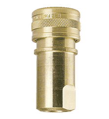 H8B-101 ZSi-Foster Quick Disconnect FHK Series 1" Two Way Shut Off 1" Socket - Brass, w/Viton Seal