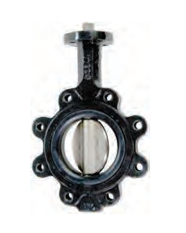 B5120E250L-C Dixon Valve 2-1/2" Industrial Butterfly Valve - Lug Type - Cast Iron Body - Stainless Steel Disc - EPDM Seat - Multi-Position Handle
