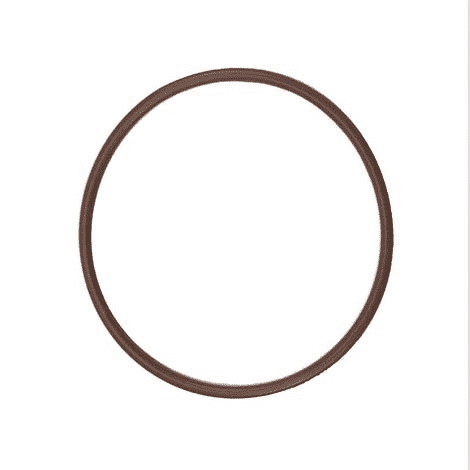 MLS300ECGV Banjo Replacement Part for Manifold Flange Connections - 3" FKM (viton type) End Cap Gasket