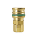 O-3003LV ZSi-Foster Quick Disconnect O60 Series 1/4" Standard Socket - 1/4" FPT - Less Valve, Brass