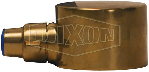 BIDC250 Dixon 2-1/2" Brass British Instantaneous Cap