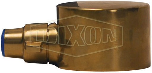 BIDC250 Dixon 2-1/2" Brass British Instantaneous Cap