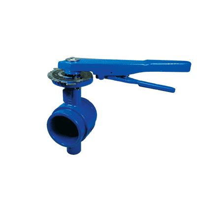 GIBFV250 Dixon 2-1/2" Epoxy-Coated Grooved End Iron Butterfly Valve