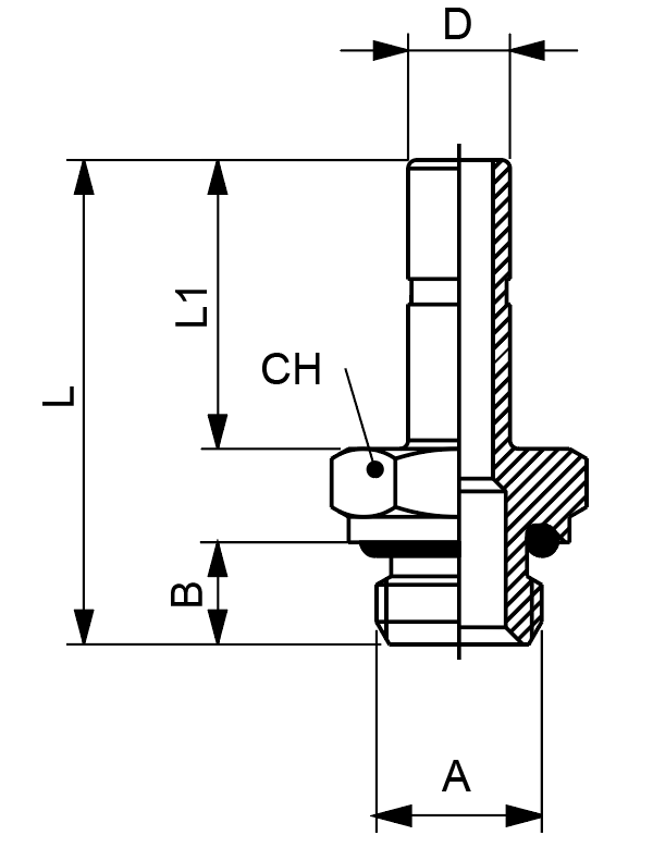 50600-8-3/8 by AIGNEP | 57 Series | 6mm x 3/8" BSPP Mae | Adapter | Straight | Pack of 10