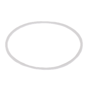 V21204 Banjo Replacement Part for 2" Standard Port Ball Valve "Stubby Valve" - Body Gasket